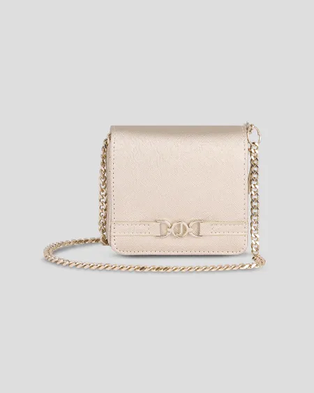 Cartera Dorada Con Cadena